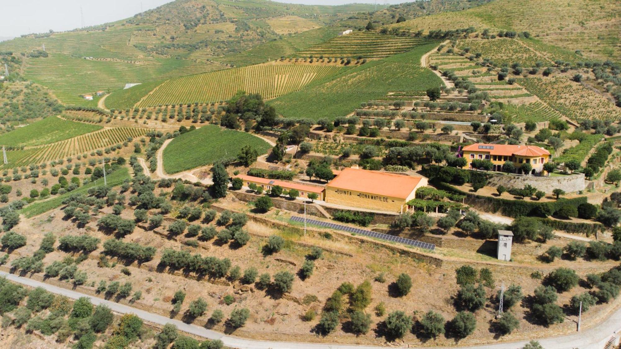 Hotel Quinta Dona Matilde Peso da Régua Exterior foto